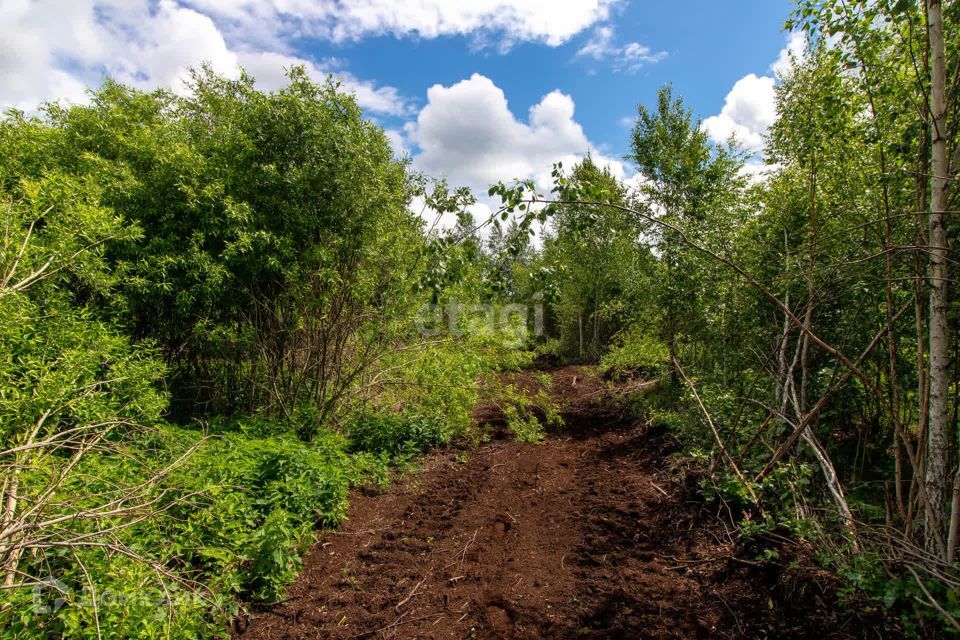 земля р-н Нижнетавдинский СТ Здоровье-3 фото 6