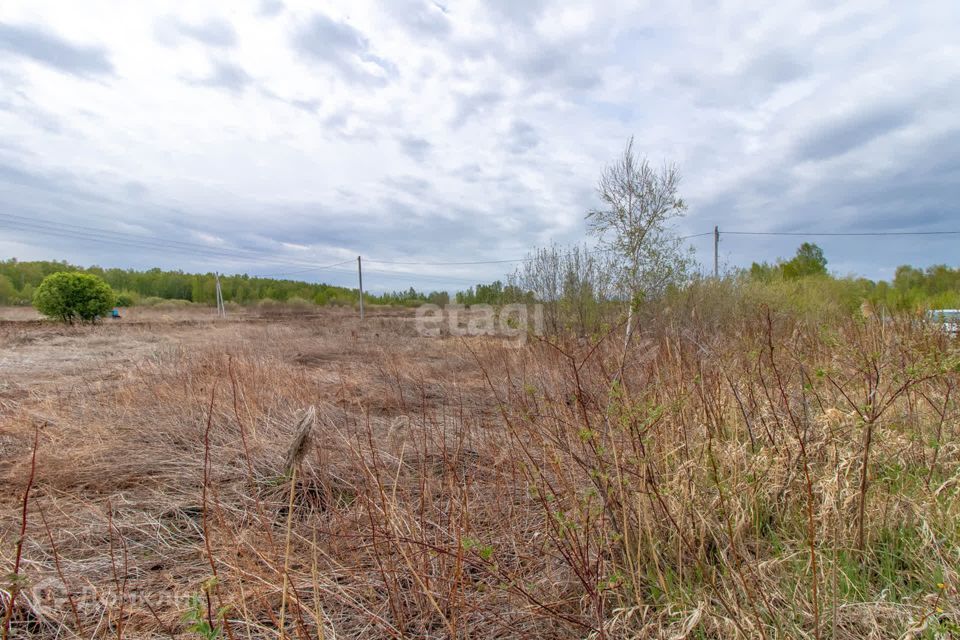 земля городской округ Тюмень, садовые участки Светлое фото 8