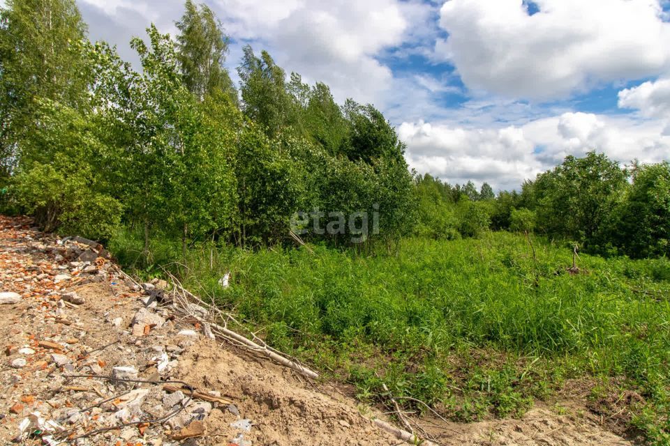 земля р-н Нижнетавдинский СТ Здоровье-3 фото 8