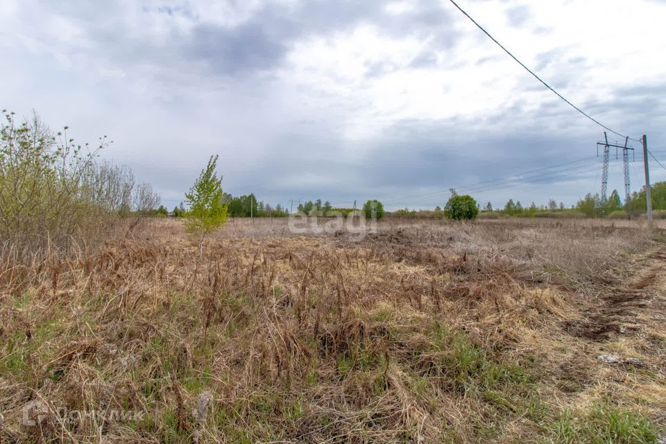 земля городской округ Тюмень, садовые участки Светлое фото 10