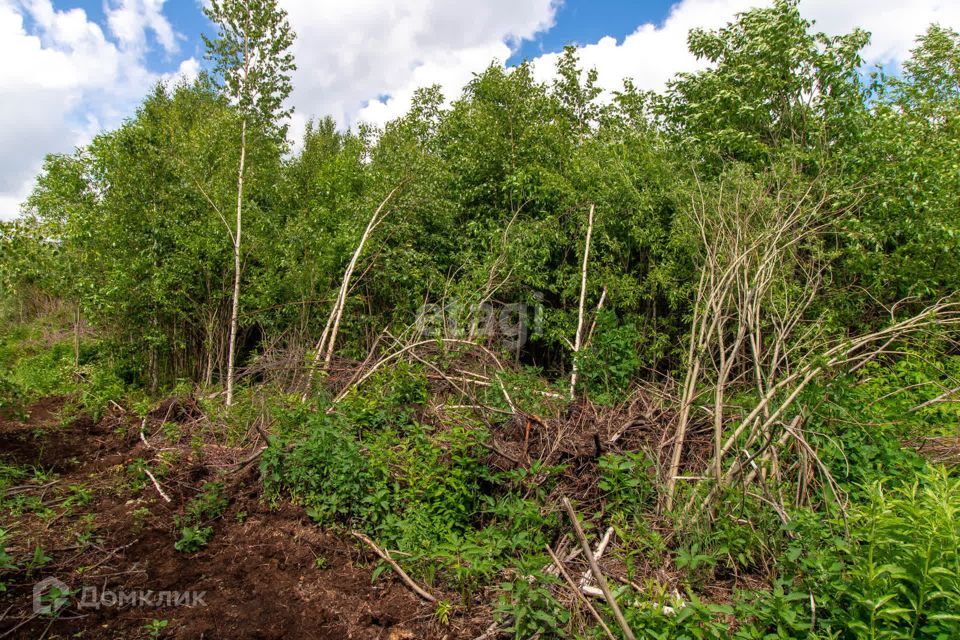 земля р-н Нижнетавдинский СТ Здоровье-3 фото 6