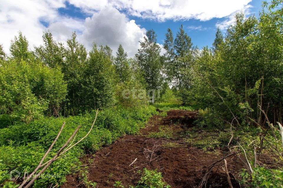 земля р-н Нижнетавдинский СТ Здоровье-3 фото 7