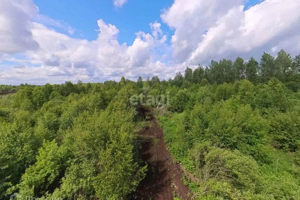 земля р-н Нижнетавдинский СТ Здоровье-3 фото 9