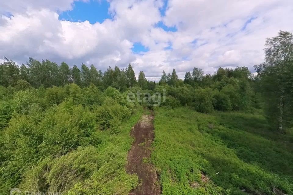 земля р-н Нижнетавдинский СТ Здоровье-3 фото 10