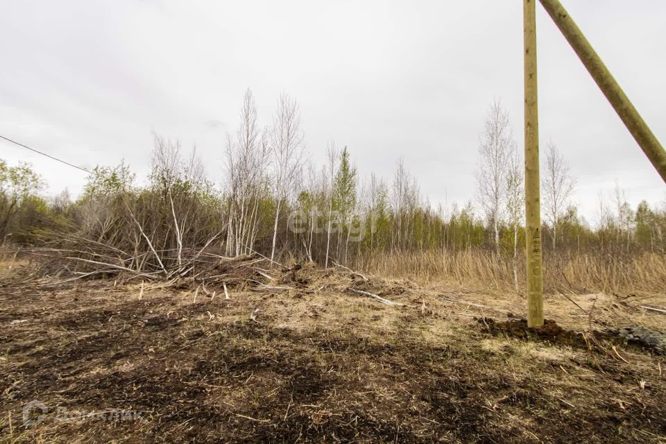 земля г Тюмень городской округ Тюмень, товарищество собственников недвижимости Большое Царёво-1 фото 6