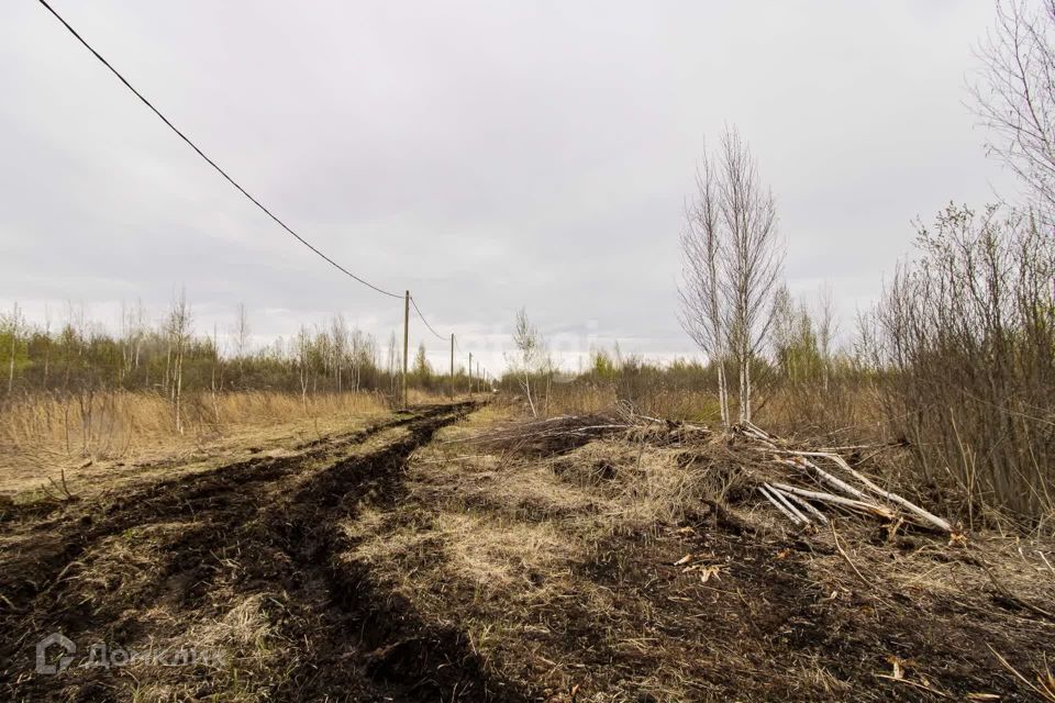 земля г Тюмень городской округ Тюмень, товарищество собственников недвижимости Большое Царёво-1 фото 7