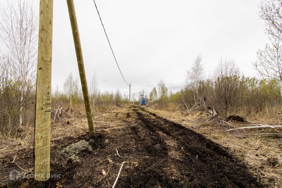 земля г Тюмень городской округ Тюмень, товарищество собственников недвижимости Большое Царёво-1 фото 8