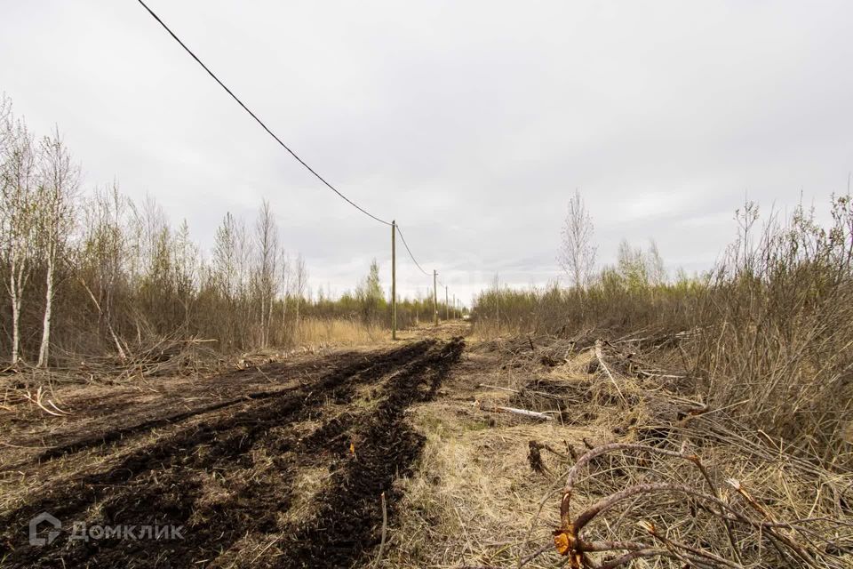 земля г Тюмень городской округ Тюмень, товарищество собственников недвижимости Большое Царёво-1 фото 10