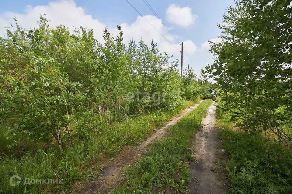 земля городской округ Тюмень, СНТ Поляна фото 10