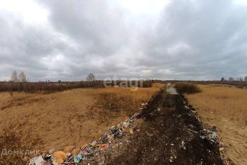 земля г Тюмень городской округ Тюмень, Лазурная улица фото 6