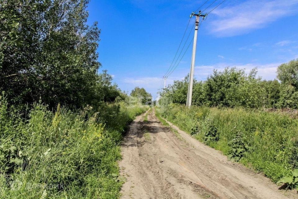 земля городской округ Тюмень, садовые участки Светлое фото 7