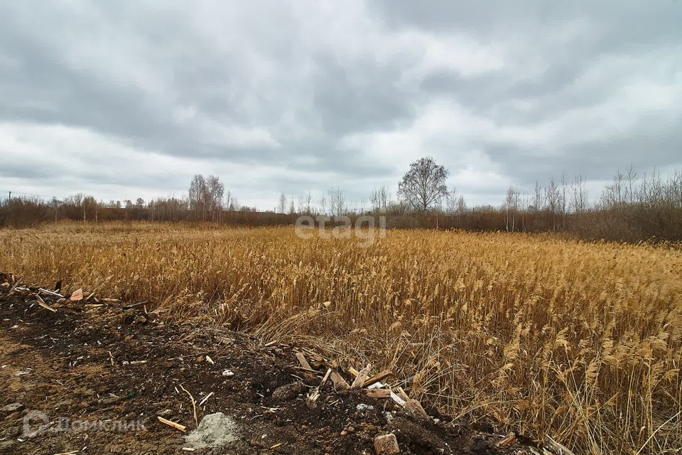 земля г Тюмень городской округ Тюмень, Лазурная улица фото 9