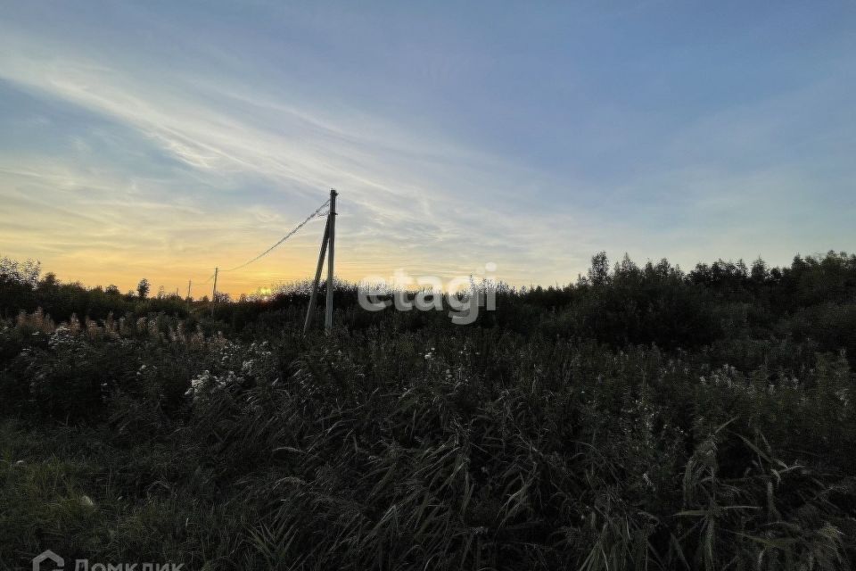 земля городской округ Тюмень, садовые участки Светлое фото 8