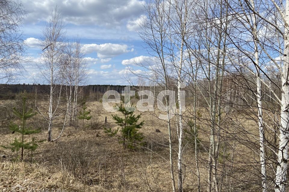 земля р-н Тюменский посёлок городского типа Богандинский фото 6