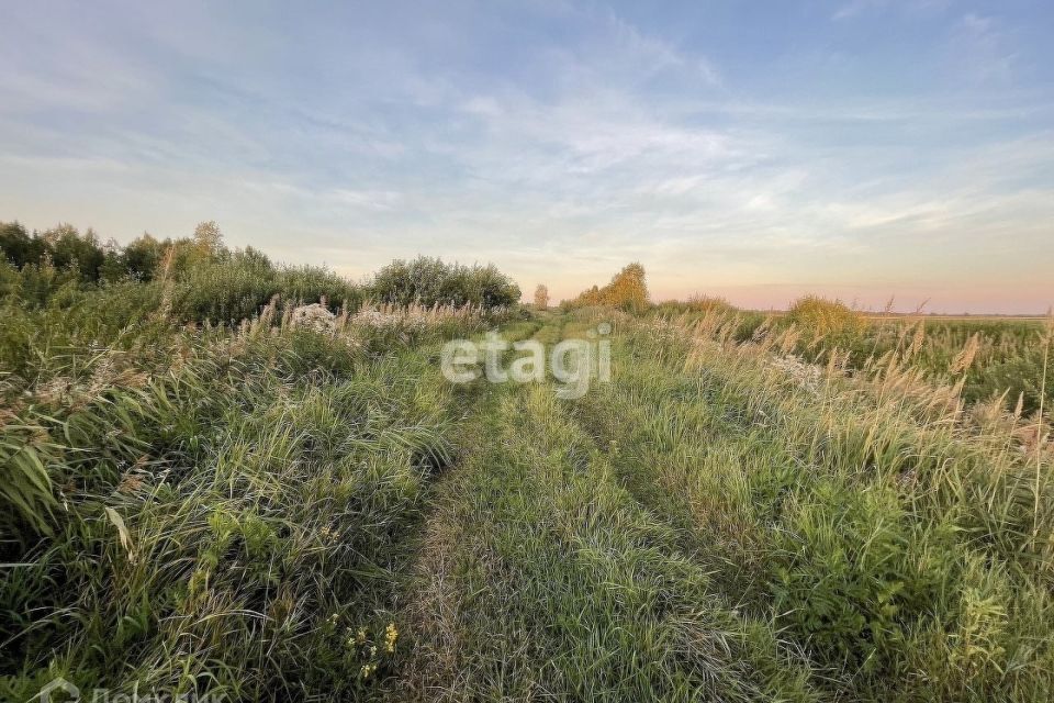 земля городской округ Тюмень, садовые участки Светлое фото 9