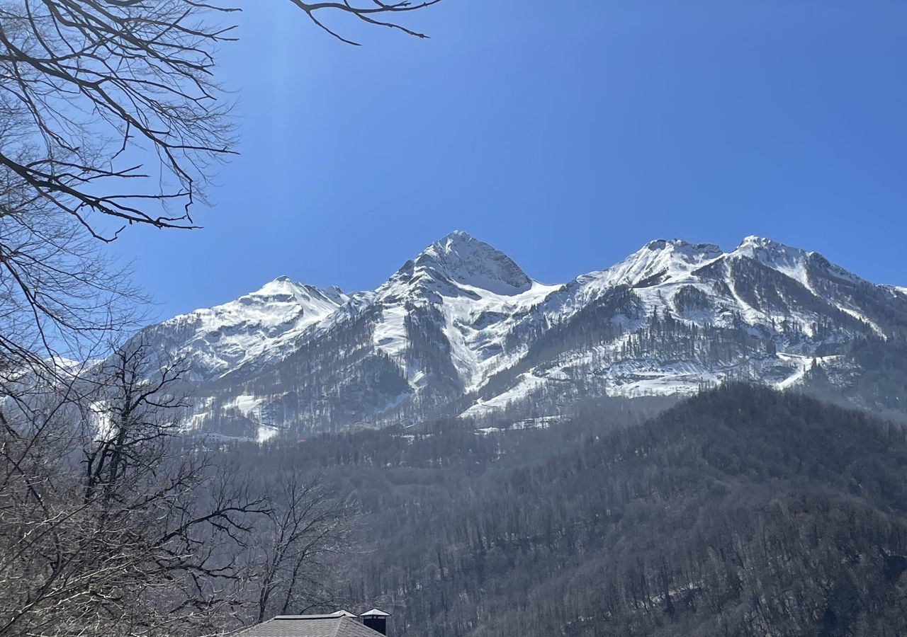 земля г Сочи р-н Адлерский с Эстосадок пер Радужный фото 3