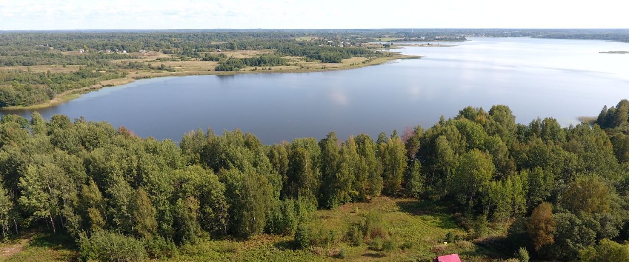 земля р-н Куньинский д Анашкино Жижицкая волость фото 2