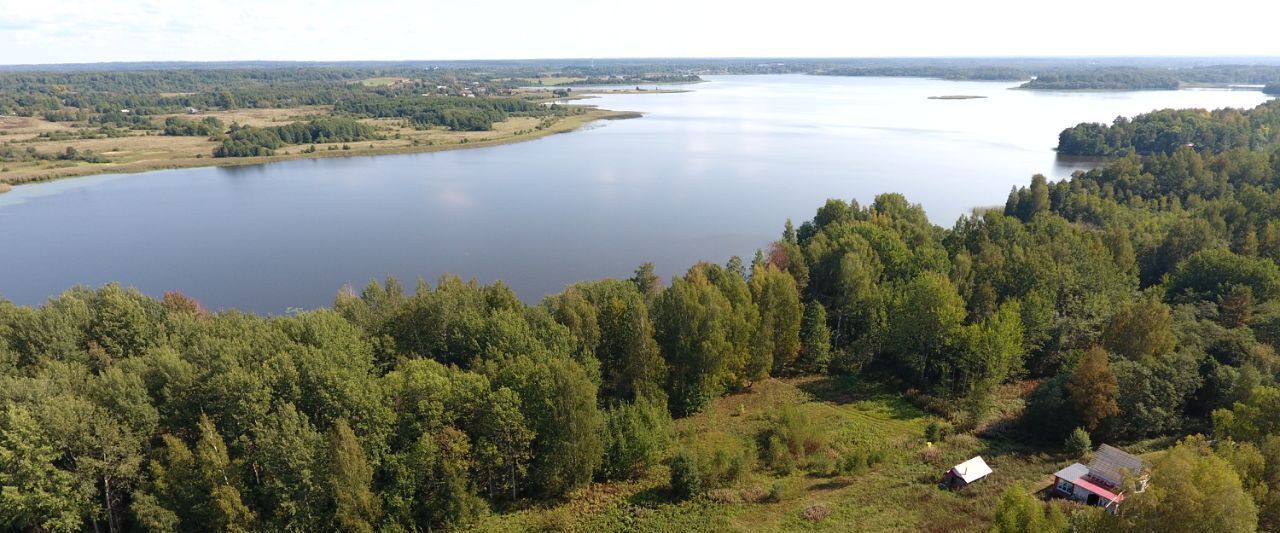 земля р-н Куньинский д Анашкино Жижицкая волость фото 3