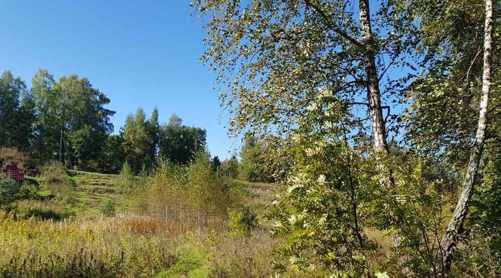 земля р-н Куньинский д Анашкино Жижицкая волость фото 15