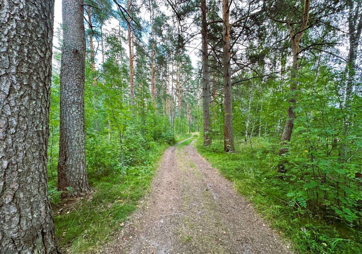 земля р-н Выборгский п Красносельское фото 10