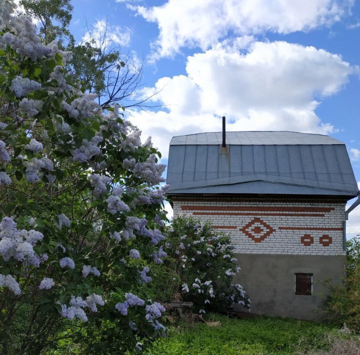 дом р-н Павловский г Горбатов ул. Максима Горького, 52 фото 1