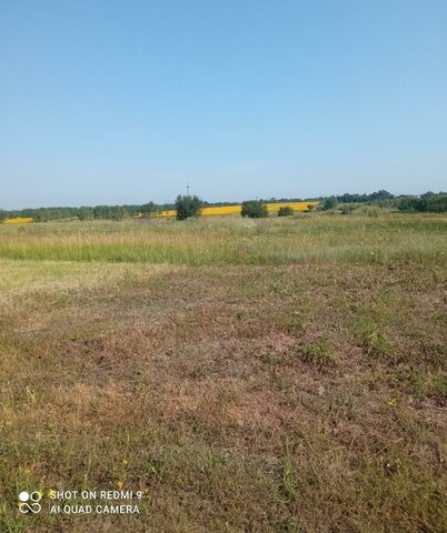 земля ул Больничная фото