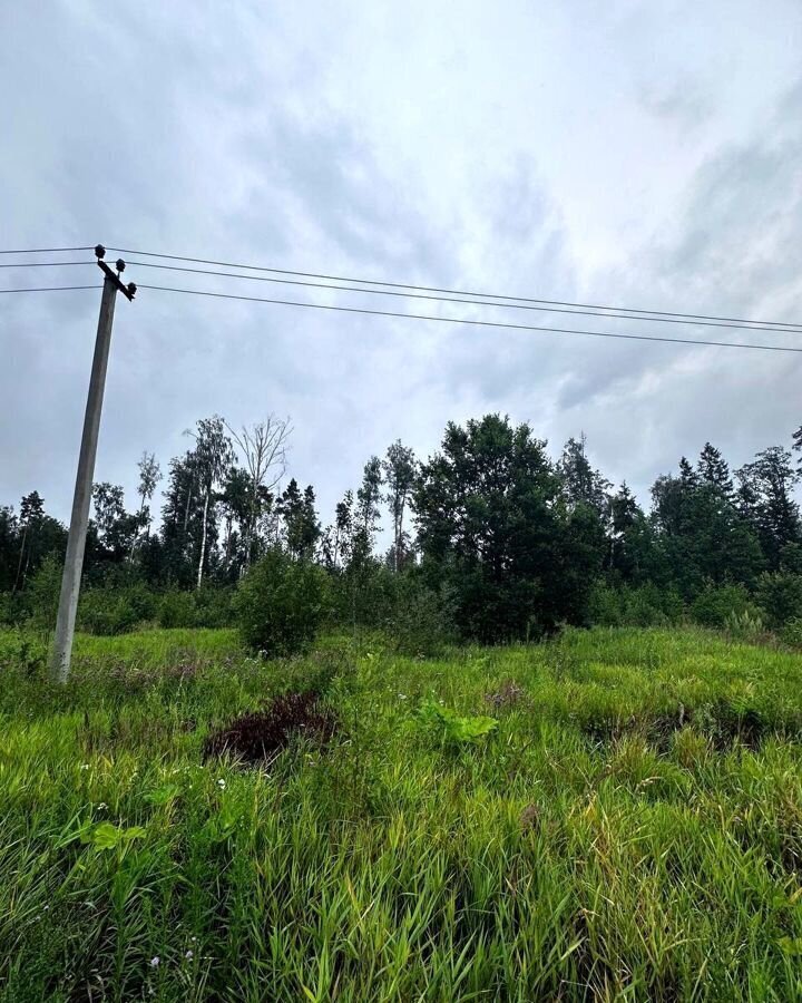 земля городской округ Егорьевск д Колычево-Боярское Егорьевск фото 3