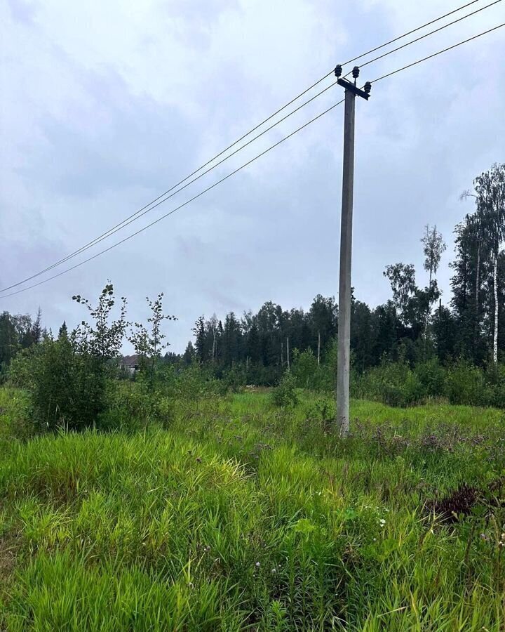 земля городской округ Егорьевск д Колычево-Боярское Егорьевск фото 7