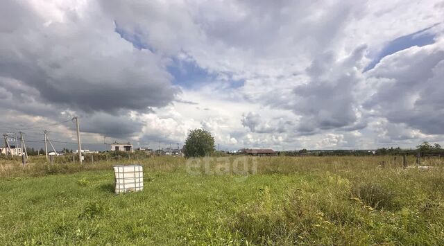 Лазурное кп, Федоровское городское поселение фото