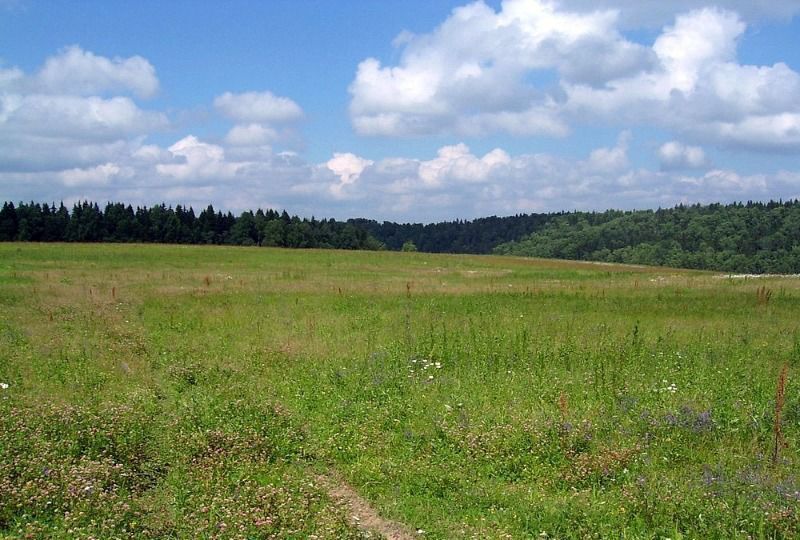 земля р-н Угличский д Орешково Тверская область, Калязин фото 1