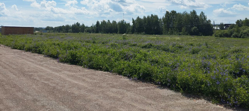 земля городской округ Раменский коттеджный посёлок Оттепель фото 3