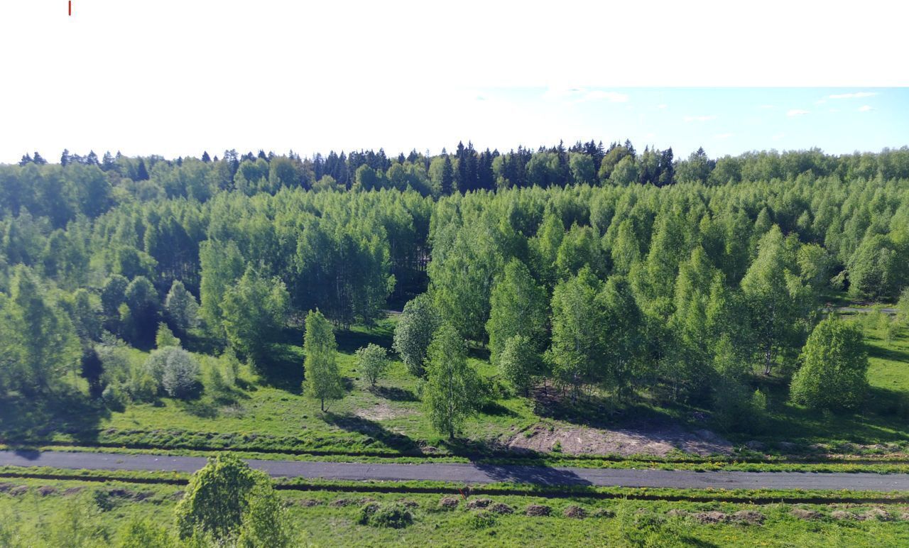 земля городской округ Солнечногорск д Якиманское Солнечногорск фото 6