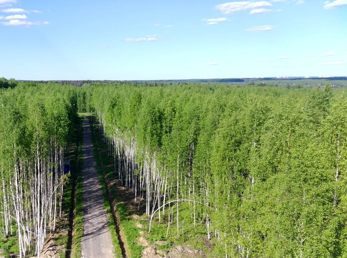 земля городской округ Солнечногорск д Якиманское Солнечногорск фото 13