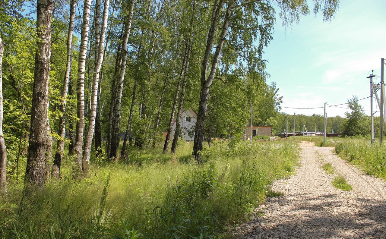 земля городской округ Мытищи д Большая Черная Некрасовский фото 2