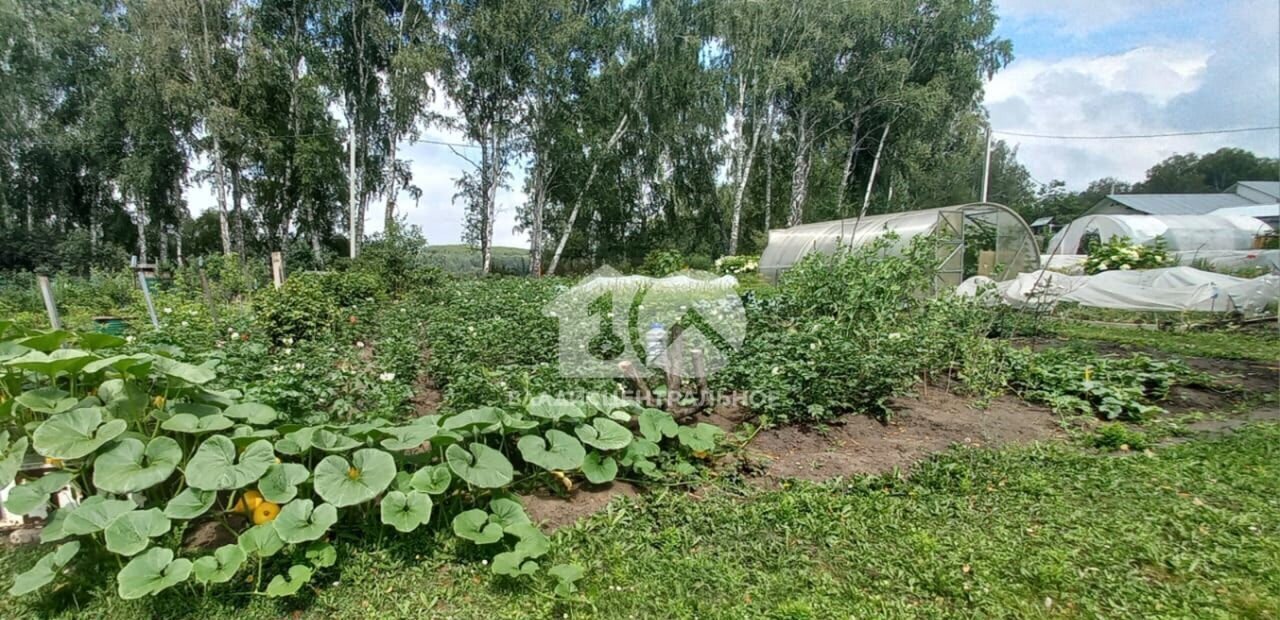 дом р-н Новосибирский снт Серебряные ключи-2 Раздольненский сельсовет, 20, Новосибирск фото 28