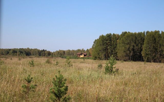 р-н Емельяновский с Устюг р-н мкр Времена года Емельяново фото