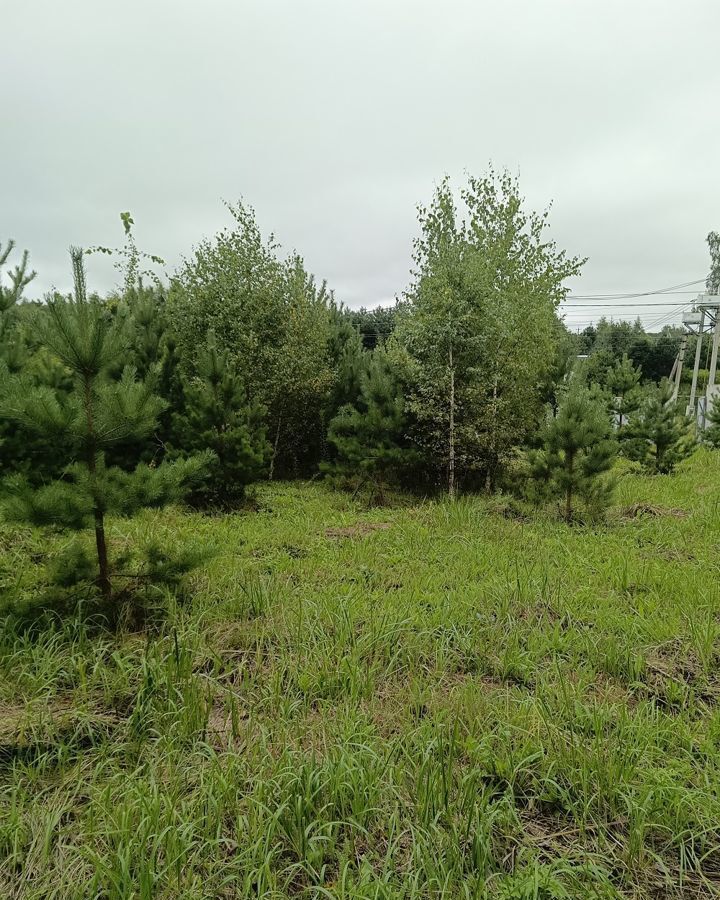 земля городской округ Чехов д Большое Петровское Солнышевская ул, Чехов фото 8