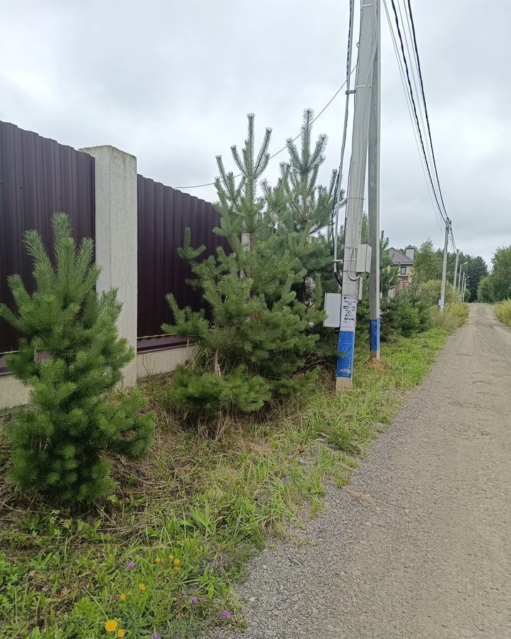 земля городской округ Чехов д Большое Петровское Солнышевская ул, Чехов фото 13