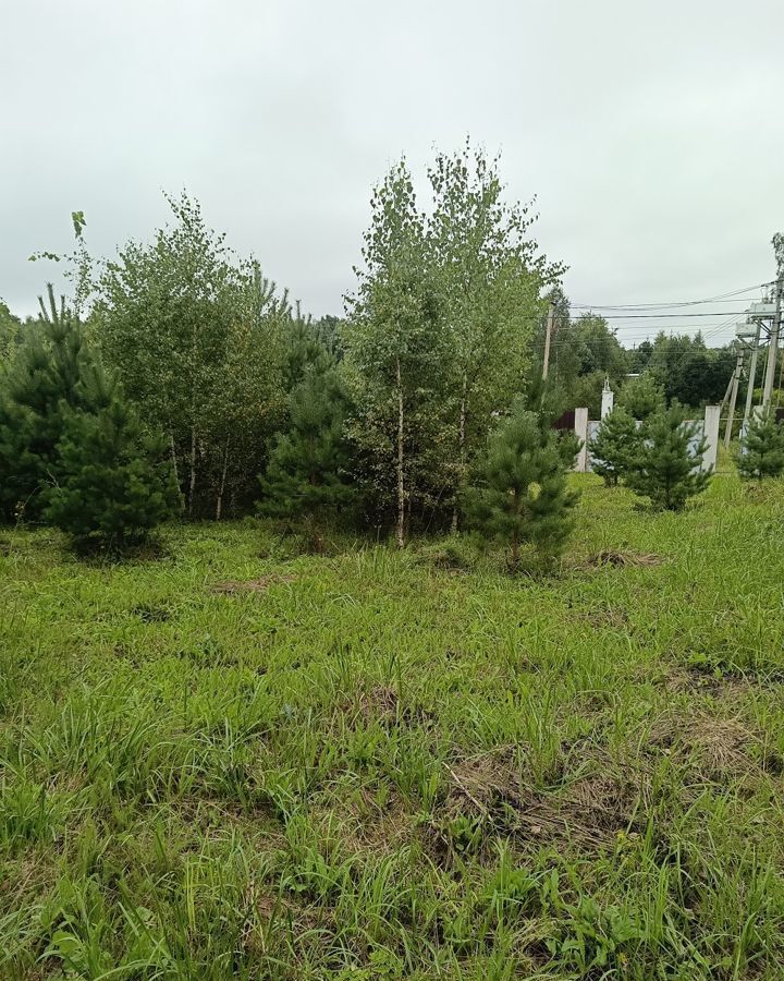 земля городской округ Чехов д Большое Петровское Солнышевская ул, Чехов фото 12