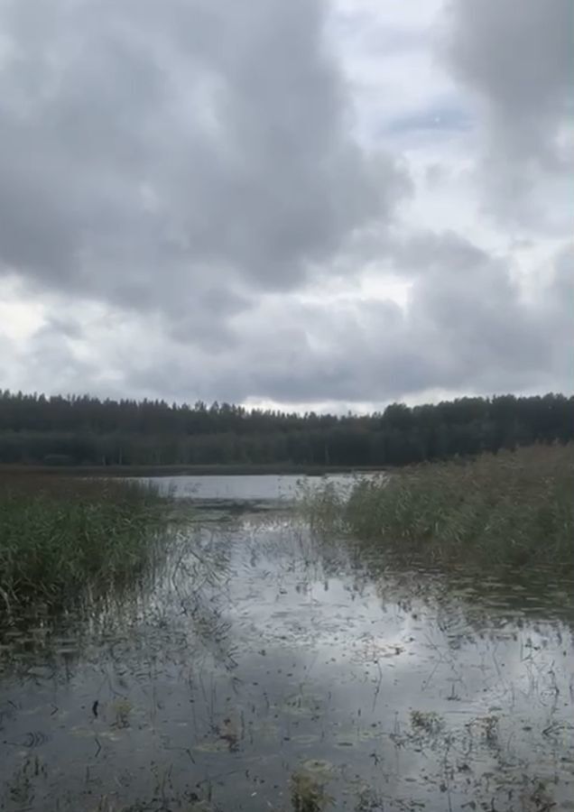 земля р-н Выборгский п Буслово Селезнёвское сельское поселение, пос. при железнодорожной станции Лужайка, Выборг фото 5