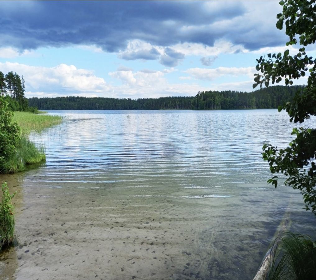 земля р-н Выборгский п Буслово Селезнёвское сельское поселение, пос. при железнодорожной станции Лужайка, Выборг фото 6