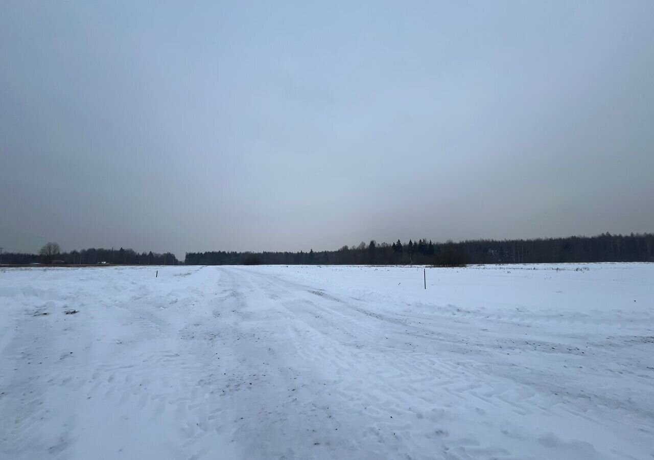 земля городской округ Истра с Новопетровское коттеджный пос. Рига Грин, 165, г. о. Истра фото 5