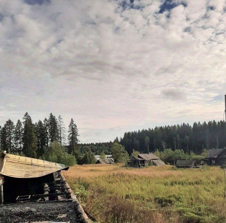 земля р-н Питкярантский д Алатту ул Центральная фото 15