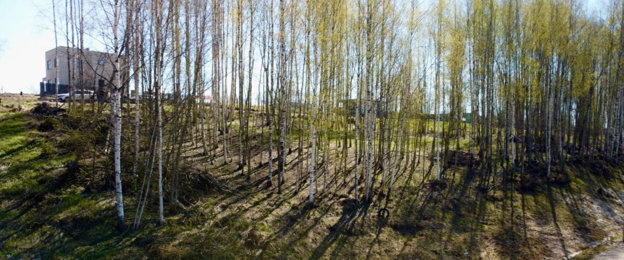 дом р-н Всеволожский п Новое Токсово Токсовское городское поселение, Токсово Озеро Парк кп фото 4