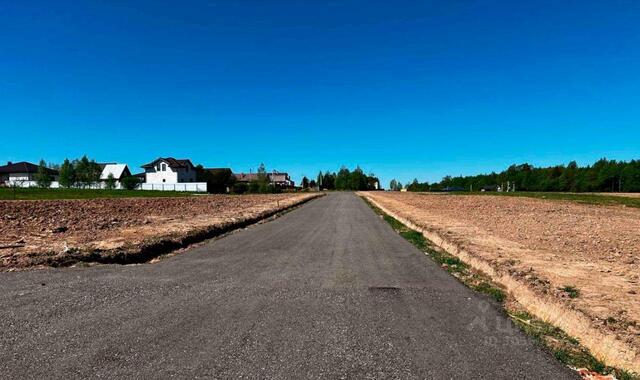 Дмитровский городской округ, Медведки кп фото