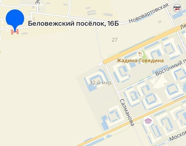 п Беловежский 16Б, Тюменская обл. фото