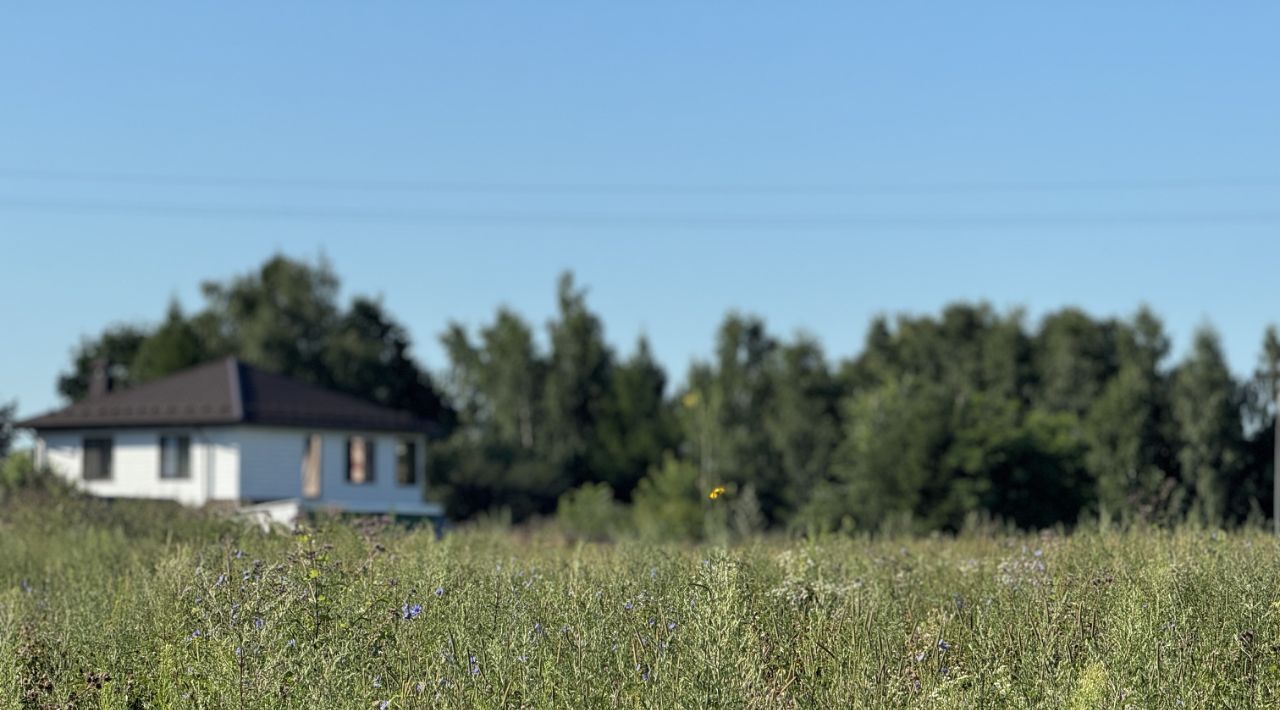 земля городской округ Пушкинский с Братовщина фото 5