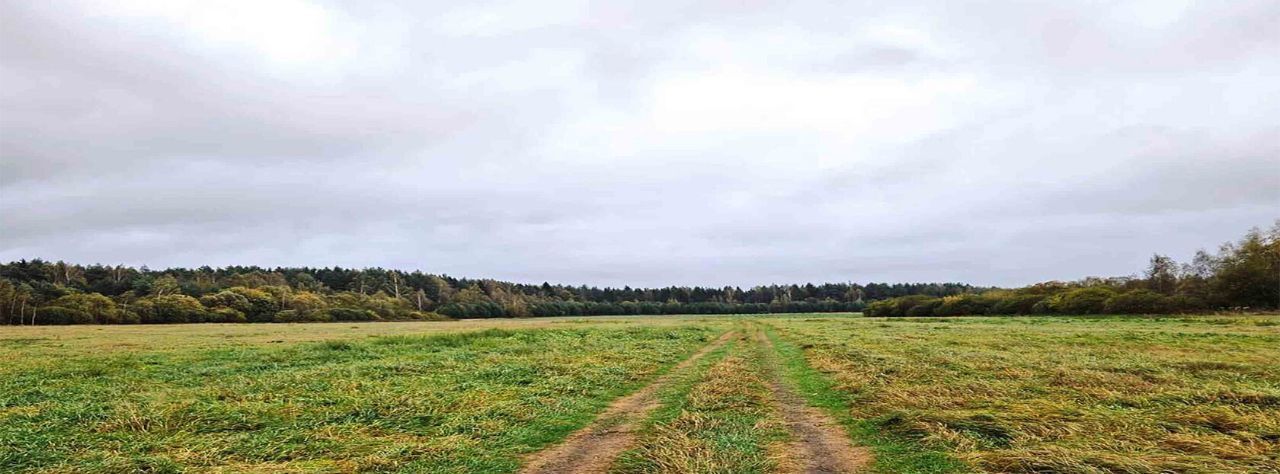 земля городской округ Клин рп Решетниково ул Жемчужная фото 18