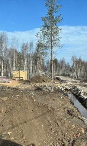 ул Северная Мурманское шоссе, 13 км, Всеволожское городское поселение, садоводческое некоммерческое товарищество Родничковое фото