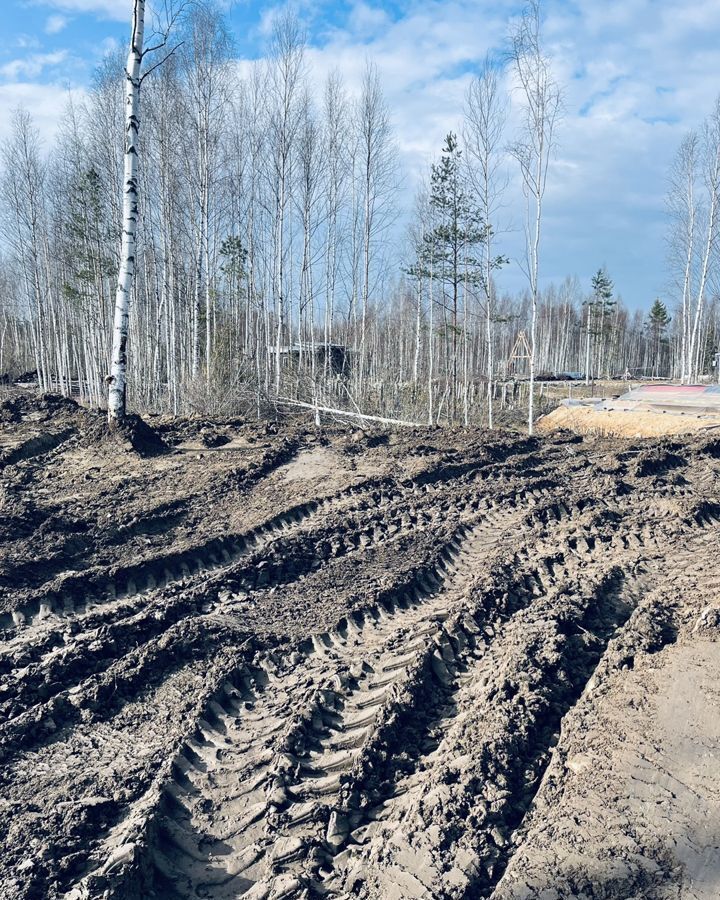 земля р-н Всеволожский г Всеволожск ул Северная Мурманское шоссе, 13 км, Всеволожское городское поселение, садоводческое некоммерческое товарищество Родничковое фото 3